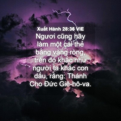 Picture 04 - Xuất Hành 28:36 VIE - Ngươi cũng hãy làm một cái thẻ bằng - Bible Verse Picture