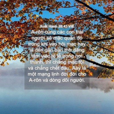 Picture 04 - Xuất Hành 28:43 VIE - A-rôn cùng các con trai người sẽ mặc - Bible Verse Picture