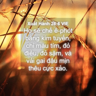 Picture 04 - Xuất Hành 28:6 VIE - Họ sẽ chế ê-phót bằng kim tuyến, - Bible Verse Picture
