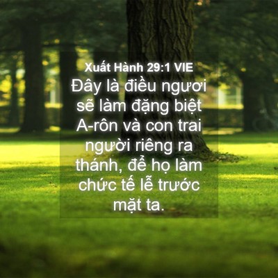 Picture 04 - Xuất Hành 29:1 VIE - Đây là điều ngươi sẽ làm đặng - Bible Verse Picture