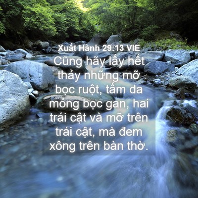 Picture 04 - Xuất Hành 29:13 VIE - Cũng hãy lấy hết thảy những mỡ bọc - Bible Verse Picture