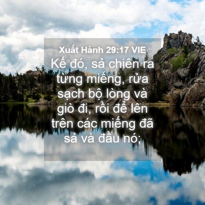 Picture 04 - Xuất Hành 29:17 VIE - Kế đó, sả chiên ra từng miếng, rửa - Bible Verse Picture