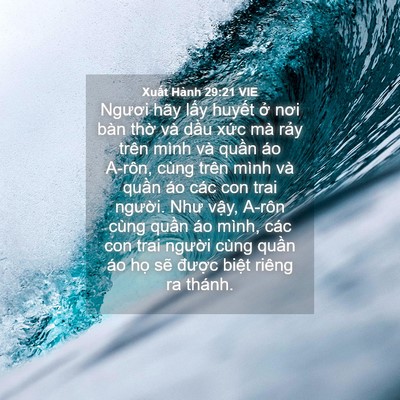Picture 04 - Xuất Hành 29:21 VIE - Ngươi hãy lấy huyết ở nơi bàn thờ - Bible Verse Picture