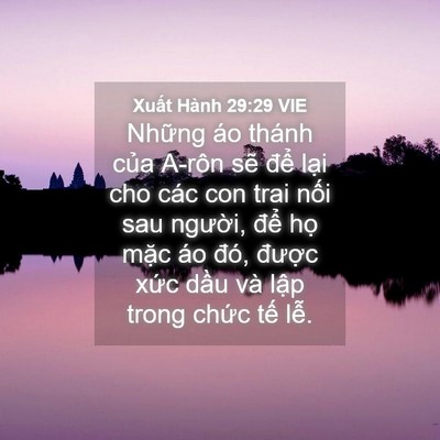 Picture 04 - Xuất Hành 29:29 VIE - Những áo thánh của A-rôn sẽ để lại - Bible Verse Picture
