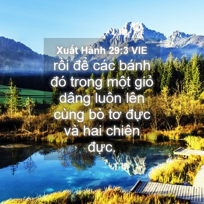 Picture 04 - Xuất Hành 29:3 VIE - rồi để các bánh đó trong một giỏ - Bible Verse Picture
