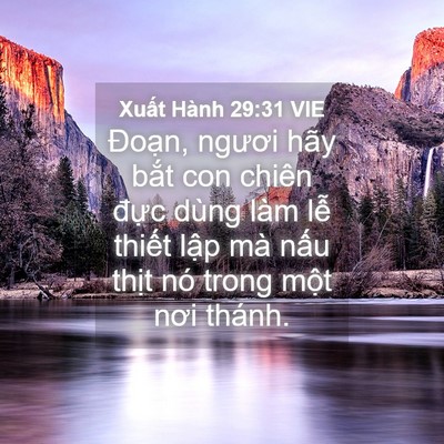 Picture 04 - Xuất Hành 29:31 VIE - Đoạn, ngươi hãy bắt con chiên đực - Bible Verse Picture