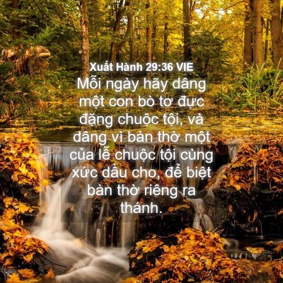 Picture 04 - Xuất Hành 29:36 VIE - Mỗi ngày hãy dâng một con bò tơ đực - Bible Verse Picture