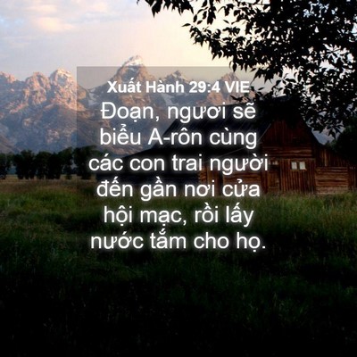 Picture 04 - Xuất Hành 29:4 VIE - Đoạn, ngươi sẽ biểu A-rôn cùng các - Bible Verse Picture