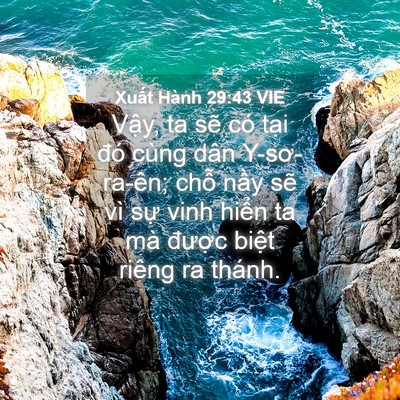Picture 04 - Xuất Hành 29:43 VIE - Vậy, ta sẽ có tại đó cùng dân - Bible Verse Picture