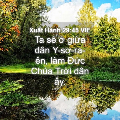 Picture 04 - Xuất Hành 29:45 VIE - Ta sẽ ở giữa dân Y-sơ-ra-ên, làm Đức - Bible Verse Picture