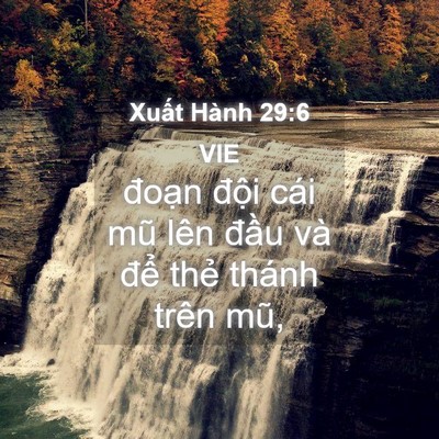 Picture 04 - Xuất Hành 29:6 VIE - đoạn đội cái mũ lên đầu và để - Bible Verse Picture