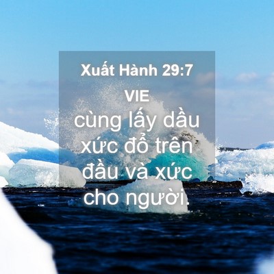 Picture 04 - Xuất Hành 29:7 VIE - cùng lấy dầu xức đổ trên đầu và - Bible Verse Picture