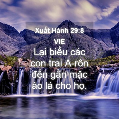 Picture 04 - Xuất Hành 29:8 VIE - Lại biểu các con trai A-rôn đến gần - Bible Verse Picture
