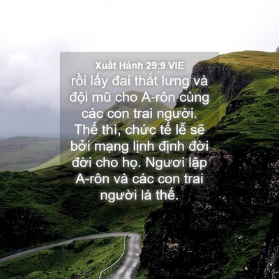 Picture 04 - Xuất Hành 29:9 VIE - rồi lấy đai thắt lưng và đội mũ cho - Bible Verse Picture