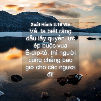 Picture 04 - Xuất Hành 3:19 VIE - Vả, ta biết rằng dẫu lấy quyền lực - Bible Verse Picture