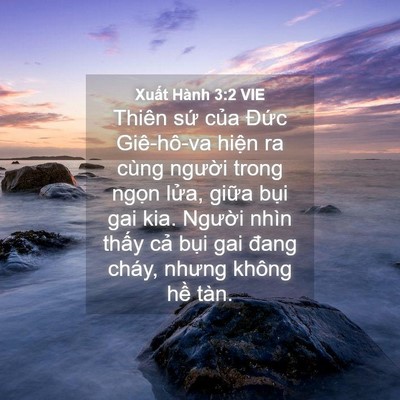 Picture 04 - Xuất Hành 3:2 VIE - Thiên sứ của Đức Giê-hô-va hiện ra - Bible Verse Picture