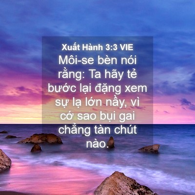 Picture 04 - Xuất Hành 3:3 VIE - Môi-se bèn nói rằng: Ta hãy tẻ bước - Bible Verse Picture
