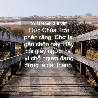 Picture 04 - Xuất Hành 3:5 VIE - Đức Chúa Trời phán rằng: Chớ lại - Bible Verse Picture
