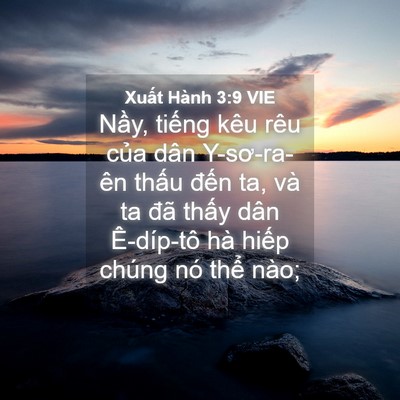Picture 04 - Xuất Hành 3:9 VIE - Nầy, tiếng kêu rêu của dân Y-sơ-ra-ên - Bible Verse Picture