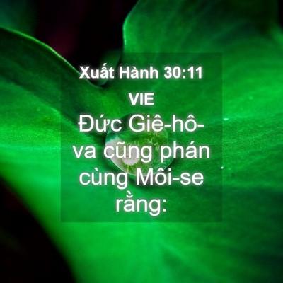 Picture 04 - Xuất Hành 30:11 VIE - Đức Giê-hô-va cũng phán cùng Môi-se - Bible Verse Picture