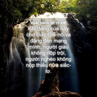 Picture 04 - Xuất Hành 30:15 VIE - Khi dâng của nầy cho Đức Giê-hô-va - Bible Verse Picture