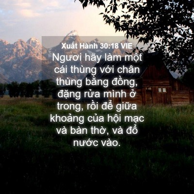 Picture 04 - Xuất Hành 30:18 VIE - Ngươi hãy làm một cái thùng với chân - Bible Verse Picture