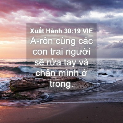 Picture 04 - Xuất Hành 30:19 VIE - A-rôn cùng các con trai người sẽ rửa - Bible Verse Picture