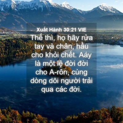Picture 04 - Xuất Hành 30:21 VIE - Thế thì, họ hãy rửa tay và chân, hầu - Bible Verse Picture