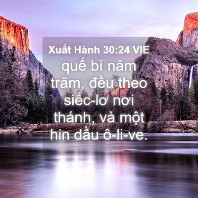 Picture 04 - Xuất Hành 30:24 VIE - quế bì năm trăm, đều theo siếc-lơ nơi - Bible Verse Picture