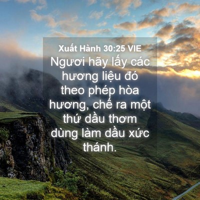 Picture 04 - Xuất Hành 30:25 VIE - Ngươi hãy lấy các hương liệu đó theo - Bible Verse Picture