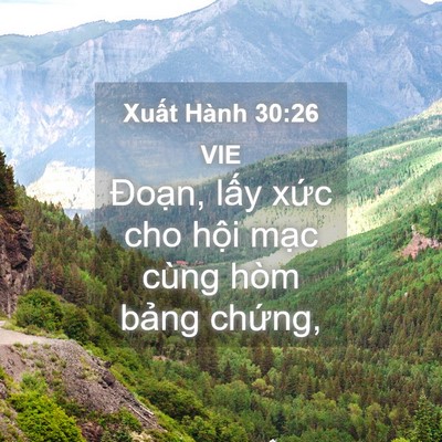 Picture 04 - Xuất Hành 30:26 VIE - Đoạn, lấy xức cho hội mạc cùng hòm - Bible Verse Picture