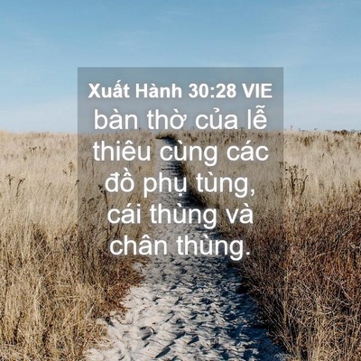 Picture 04 - Xuất Hành 30:28 VIE - bàn thờ của lễ thiêu cùng các đồ - Bible Verse Picture