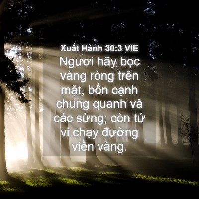 Picture 04 - Xuất Hành 30:3 VIE - Ngươi hãy bọc vàng ròng trên mặt, bốn - Bible Verse Picture