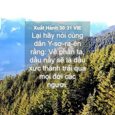 Picture 04 - Xuất Hành 30:31 VIE - Lại hãy nói cùng dân Y-sơ-ra-ên rằng: - Bible Verse Picture