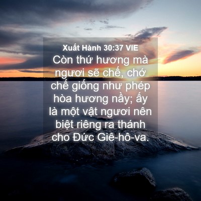 Picture 04 - Xuất Hành 30:37 VIE - Còn thứ hương mà ngươi sẽ chế, chớ - Bible Verse Picture