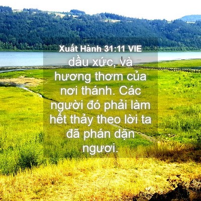 Picture 04 - Xuất Hành 31:11 VIE - dầu xức, và hương thơm của nơi thánh. - Bible Verse Picture