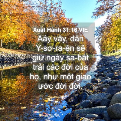 Picture 04 - Xuất Hành 31:16 VIE - Aáy vậy, dân Y-sơ-ra-ên sẽ giữ ngày - Bible Verse Picture