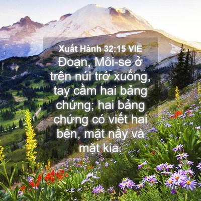 Picture 04 - Xuất Hành 32:15 VIE - Đoạn, Môi-se ở trên núi trở xuống, - Bible Verse Picture