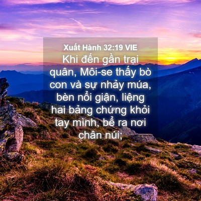 Picture 04 - Xuất Hành 32:19 VIE - Khi đến gần trại quân, Môi-se thấy bò - Bible Verse Picture