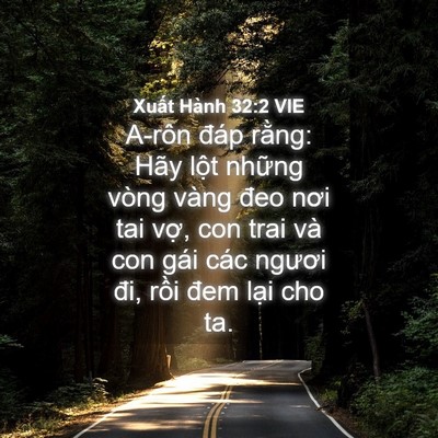 Picture 04 - Xuất Hành 32:2 VIE - A-rôn đáp rằng: Hãy lột những vòng - Bible Verse Picture