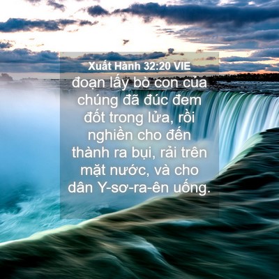 Picture 04 - Xuất Hành 32:20 VIE - đoạn lấy bò con của chúng đã đúc - Bible Verse Picture