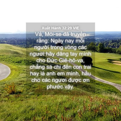 Picture 04 - Xuất Hành 32:29 VIE - Vả, Môi-se đã truyền rằng: Ngày nay - Bible Verse Picture