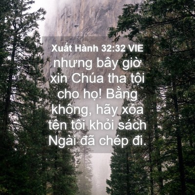 Picture 04 - Xuất Hành 32:32 VIE - nhưng bây giờ xin Chúa tha tội cho họ! - Bible Verse Picture