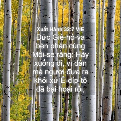 Picture 04 - Xuất Hành 32:7 VIE - Đức Giê-hô-va bèn phán cùng Môi-se - Bible Verse Picture