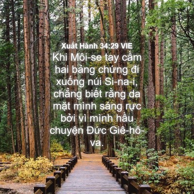 Picture 04 - Xuất Hành 34:29 VIE - Khi Môi-se tay cầm hai bảng chứng đi - Bible Verse Picture