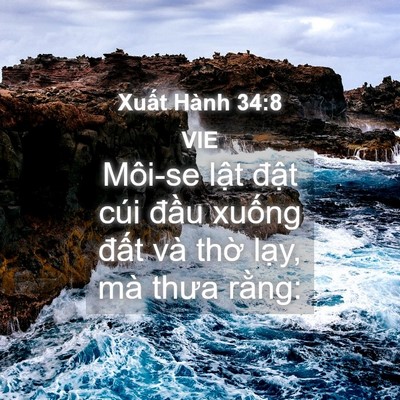 Picture 04 - Xuất Hành 34:8 VIE - Môi-se lật đật cúi đầu xuống đất - Bible Verse Picture