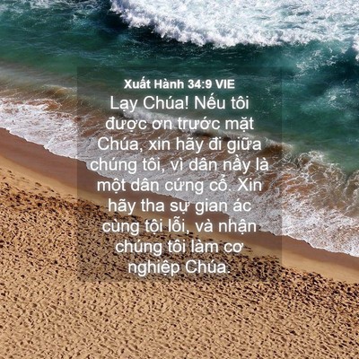 Picture 04 - Xuất Hành 34:9 VIE - Lạy Chúa! Nếu tôi được ơn trước - Bible Verse Picture