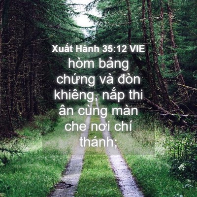 Picture 04 - Xuất Hành 35:12 VIE - hòm bảng chứng và đòn khiêng, nắp thi - Bible Verse Picture