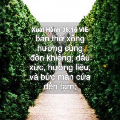 Picture 04 - Xuất Hành 35:15 VIE - bàn thờ xông hương cùng đòn khiêng; - Bible Verse Picture