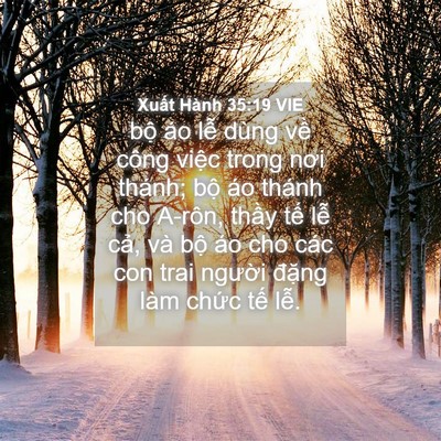 Picture 04 - Xuất Hành 35:19 VIE - bộ áo lễ dùng về công việc trong nơi - Bible Verse Picture